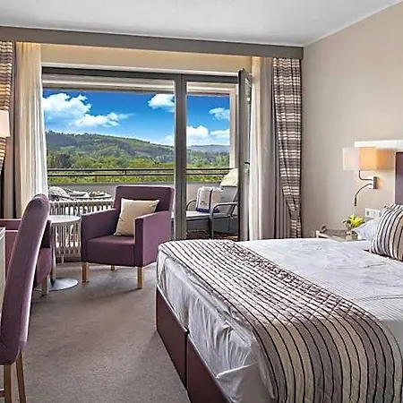 ホテル Diehlberg 4*